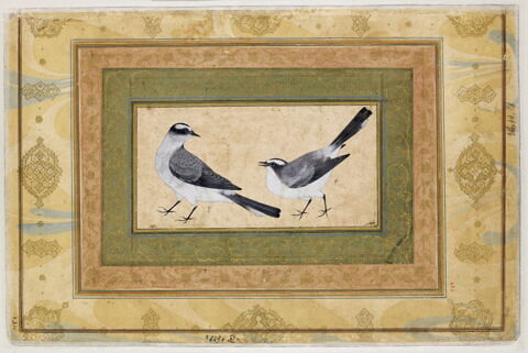 Deux mésanges (page d'album), image 7/7