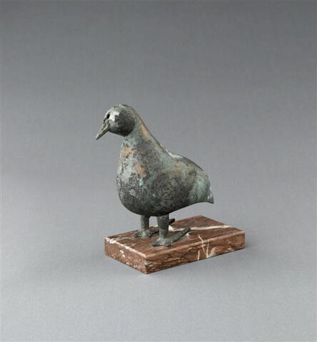 Perdrix, image 9/9