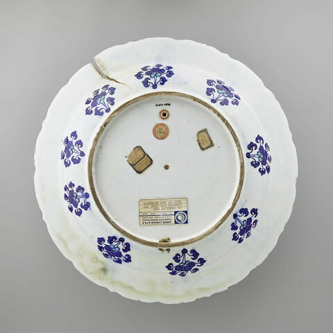 Plat aux grappes de raisin bleues, image 2/6