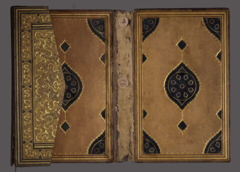 Reliure à décor de rinceaux, fleurs et tchis, image 9/14