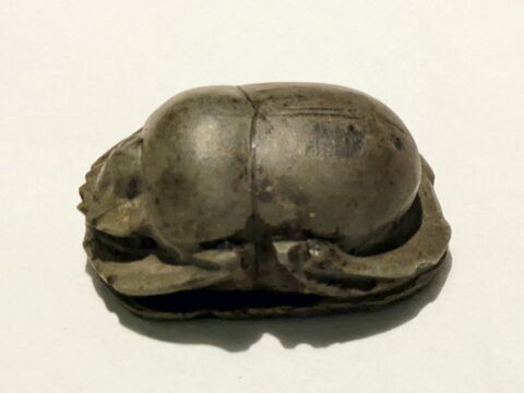 scarabée, image 2/4