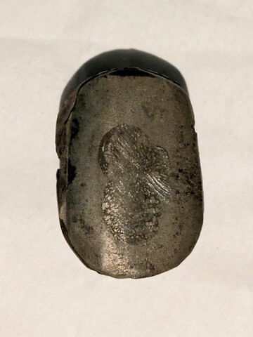 scarabée, image 4/4