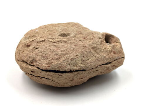 lampe à la grenouille stylisée