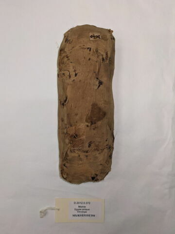 momie de serpent, image 2/2