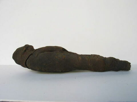 momie d'oiseau, image 5/5