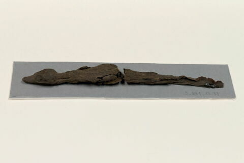 momie de crocodile, image 4/5