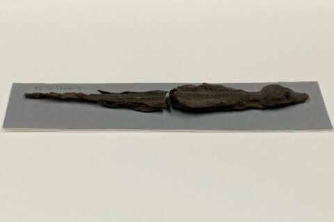 momie de crocodile, image 5/5