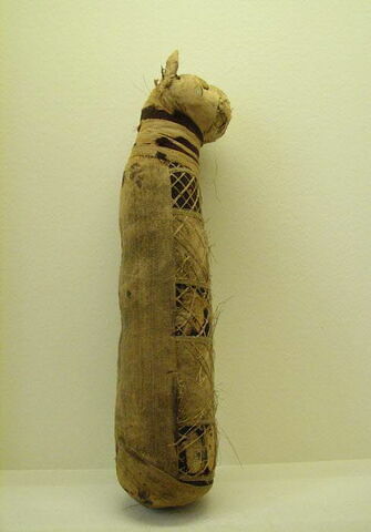 momie de chat, image 6/10