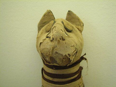 momie de chat, image 7/10