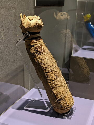 momie de chat, image 2/10