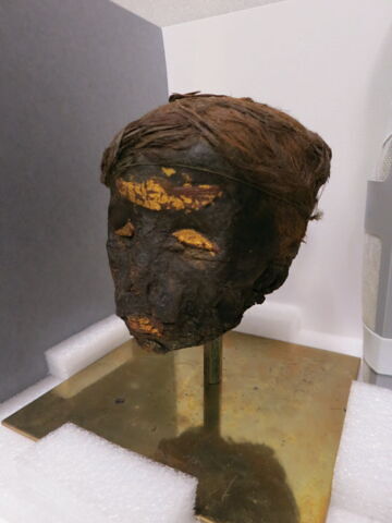 momie ; fragment, image 3/11