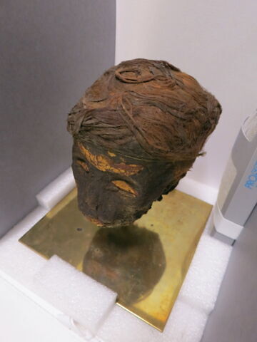 momie ; fragment, image 6/11