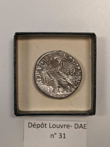 tétradrachme alexandrin, image 2/2