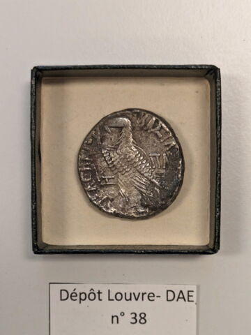 tétradrachme alexandrin, image 2/2