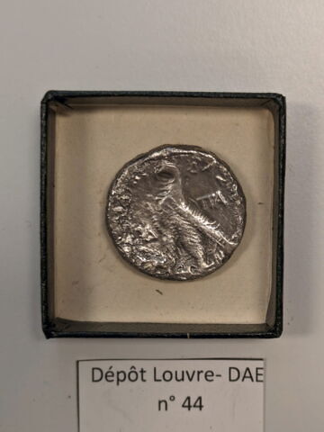 tétradrachme alexandrin, image 2/2
