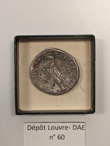 tétradrachme alexandrin, image 2/2