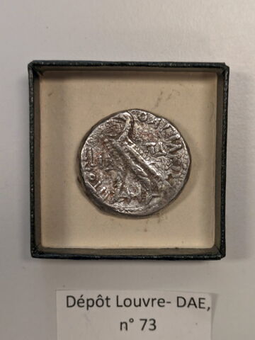 tétradrachme alexandrin, image 2/2