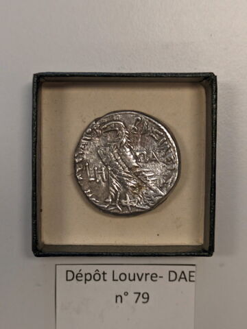 tétradrachme alexandrin, image 2/2