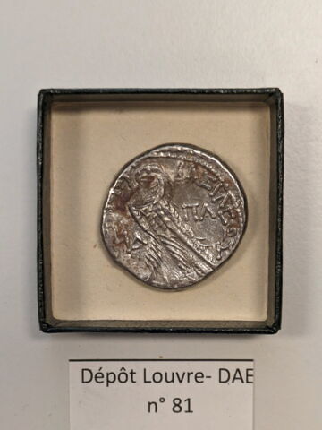 tétradrachme alexandrin, image 2/2