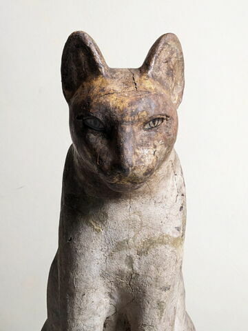 cercueil de chat, image 6/8