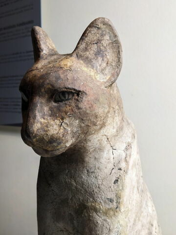 cercueil de chat, image 8/8