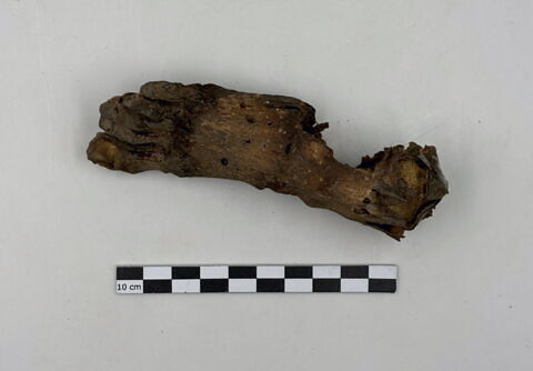 squelette, image 3/13