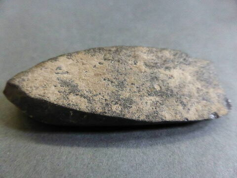 nucleus, image 2/2