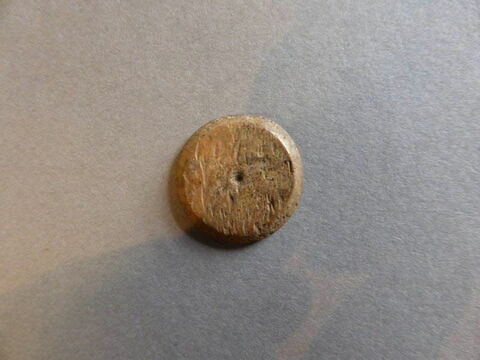 pion