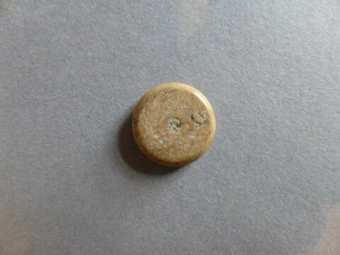 pion