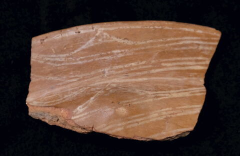 vase ; fragment, image 1/2