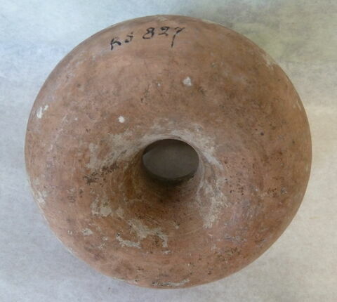 guttus, image 3/3