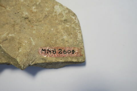 figurine  ; plaque  ; fragment, image 3/5