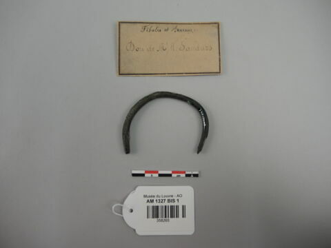 anneau, image 2/2