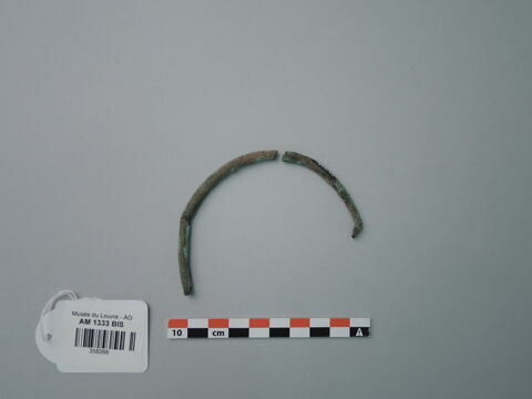 anneau ; fragment