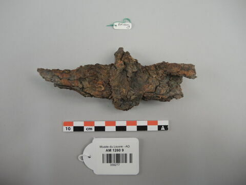 arme  ; fragment, image 2/2