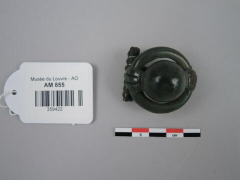 fibule