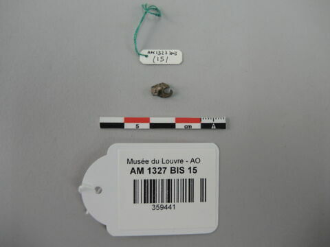 fibule ; fragment