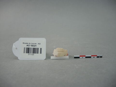 bague, image 2/4