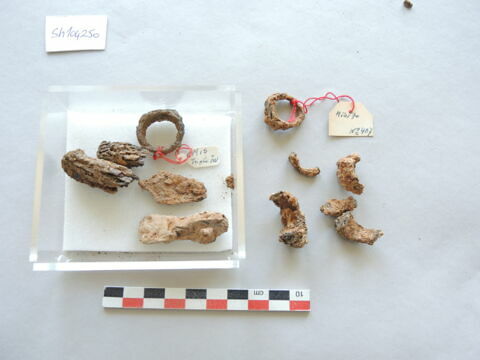 fragment ; anneau ; spatule