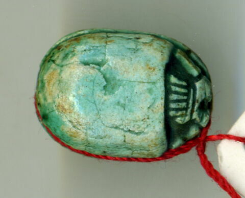 scarabée, image 2/2