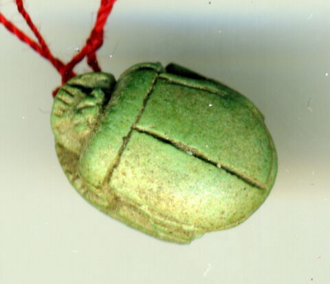 scarabée détaillé, image 2/2