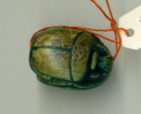 scarabée détaillé, image 2/2