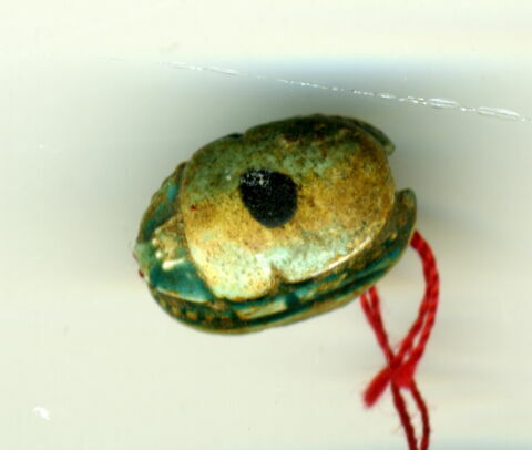 scarabée, image 2/2