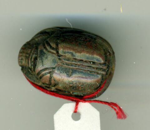 scarabée détaillé, image 2/2