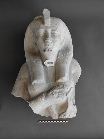 Moulage du buste de la statue de Chepenoupet E 20371, image 1/2