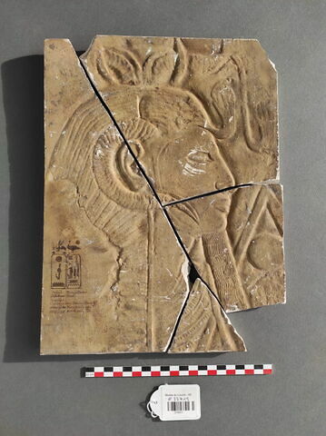 Moulage d'un relief de la tombe de Séthi Ier, image 1/1