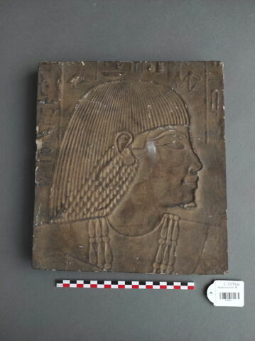 moulage d'un relief de la tombe de Khaemhat (TT 57)
