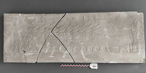 Moulage d'un relief du mastaba de Ti, image 1/1
