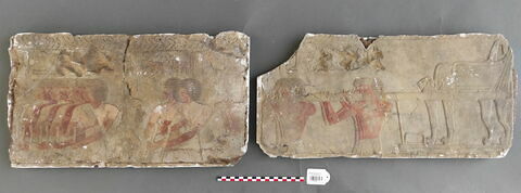 Moulages d'un relief du temple d'Hatchepsout à Deir el-Bahari, image 1/1