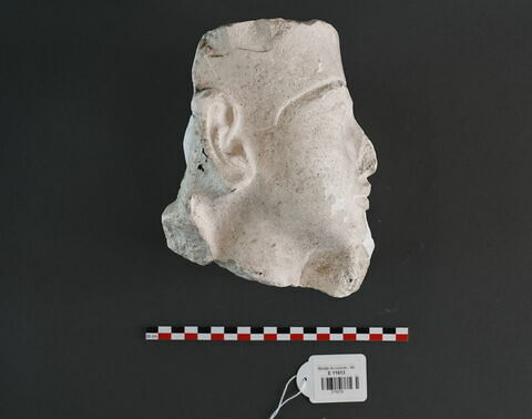 Moulage de la tête d'Amon de Bruxelles MRAH E. 5698, image 2/3